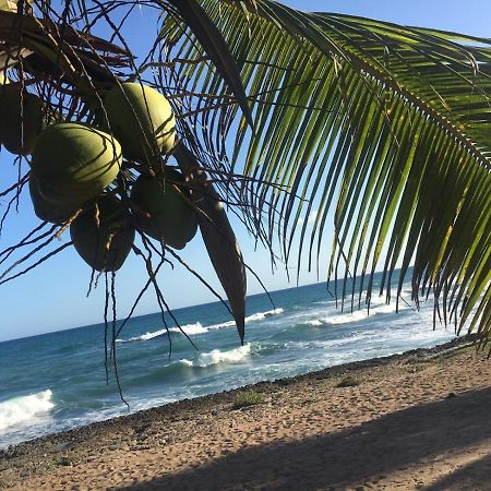 Modern, Welcoming Studio, Ocean View In Juan Dolio Exterior foto